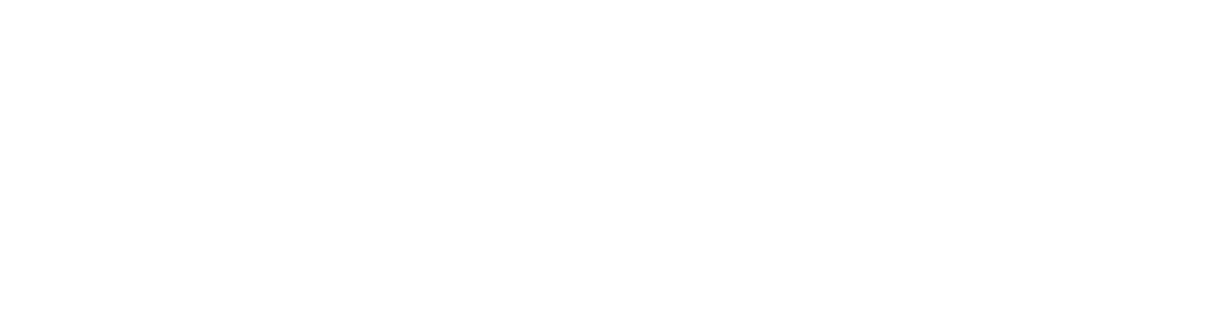 Financiado por la unión europea logo